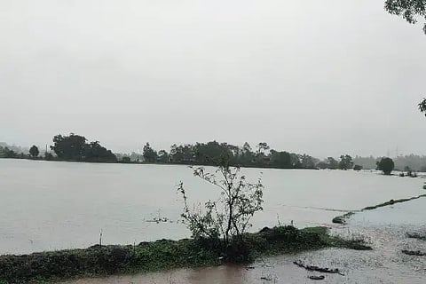 field