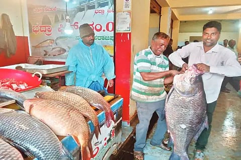 fishering