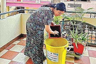 gruhini.jpg