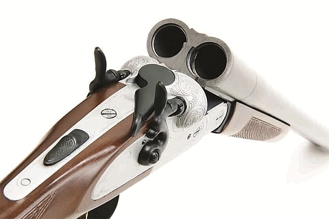gun