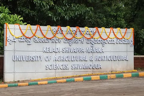 iruvakki vv