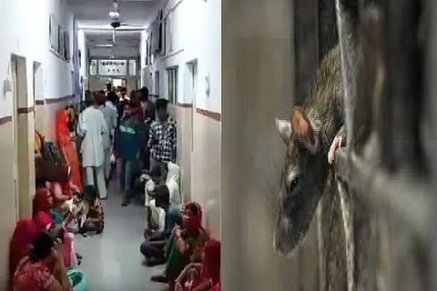 jodhapur hospital
