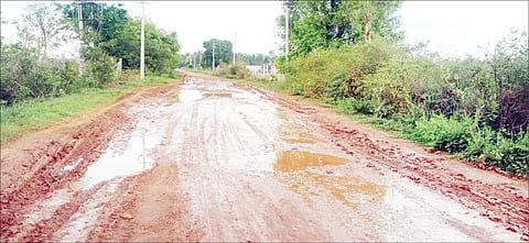 kolar-avni road