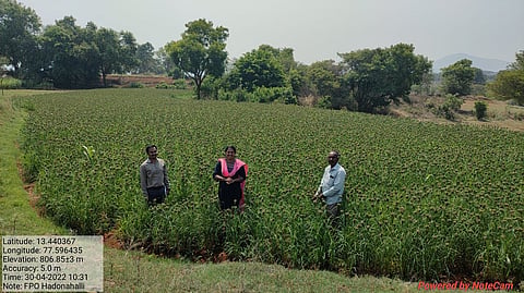 district agriculture