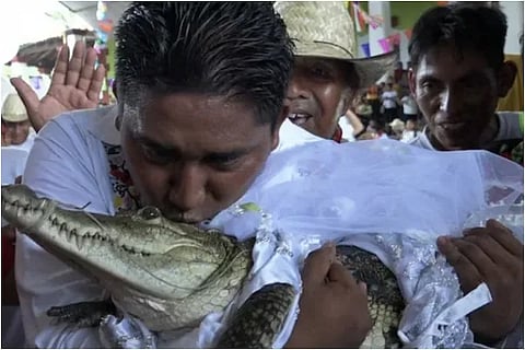 marries crocodile