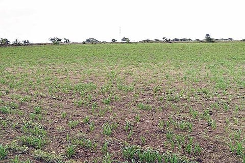 mudagal rain