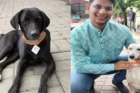 mumbai qr dog