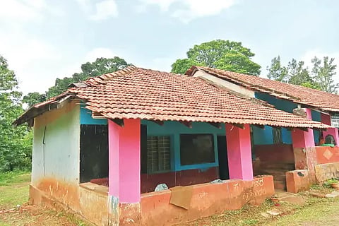 nammura shale