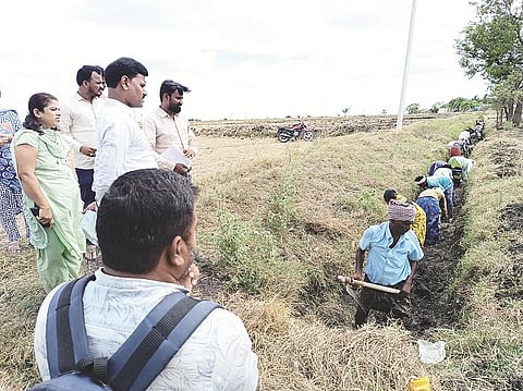 nrega