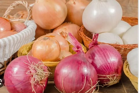 onion