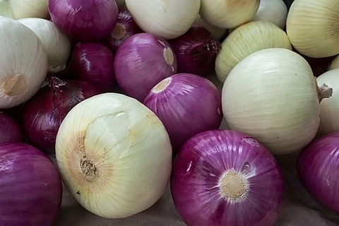 onion
