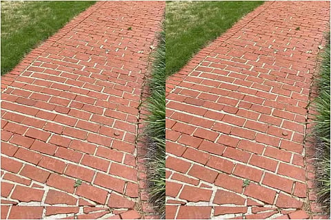 optical