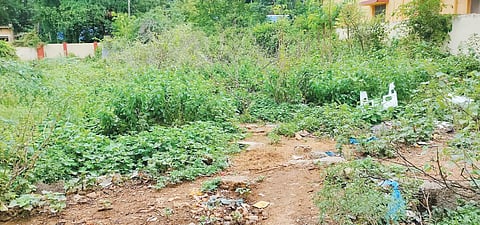 plot