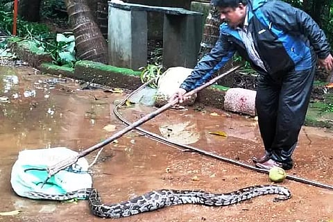 python