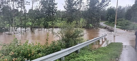 rain damag