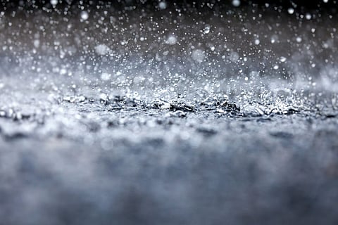rain droplets