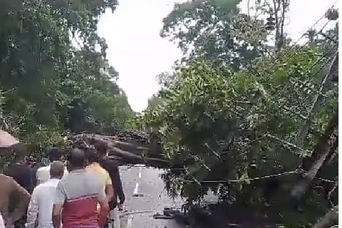 rain effect in highway
