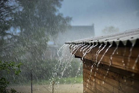 rain.