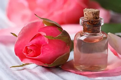 roseFotoJet