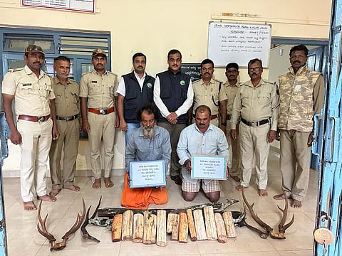 sandal wood smuggling 2 accused arrested