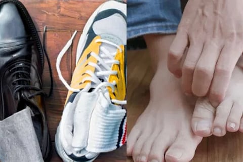 shoe