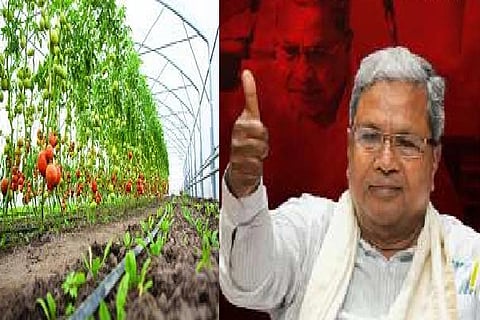 siddaramiah