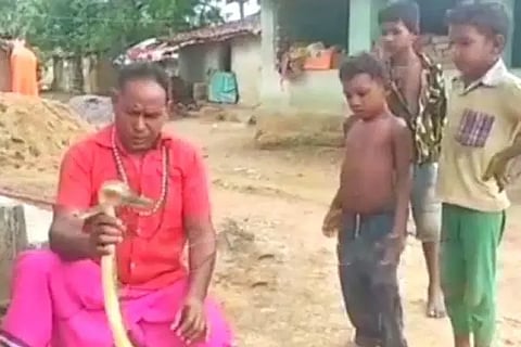 snake charmer