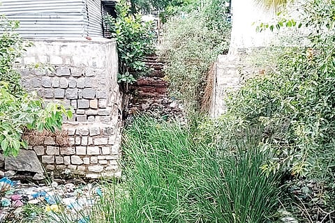 tavaragera bhavi