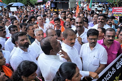 udp-28-bjp 3