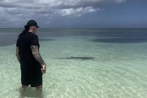 undertaker