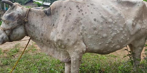 web 1