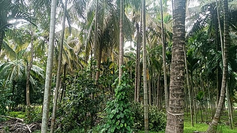 05raju7