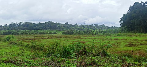 10 gkp 01