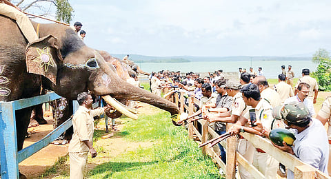 Elephant day