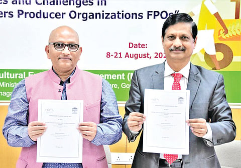 17Kush04