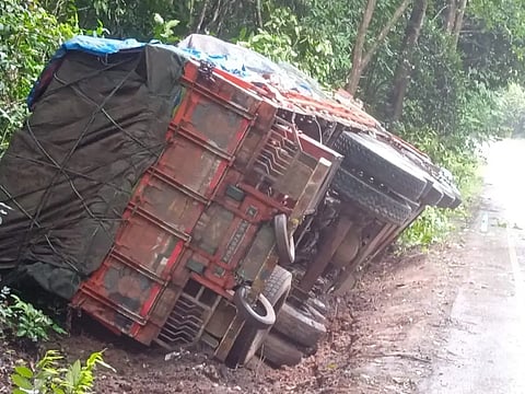 19 ylp 03 (lari)