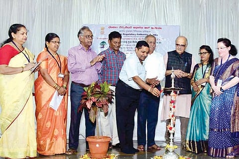 23Jaggu5