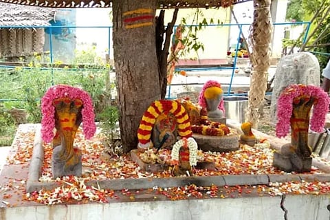 23raju4