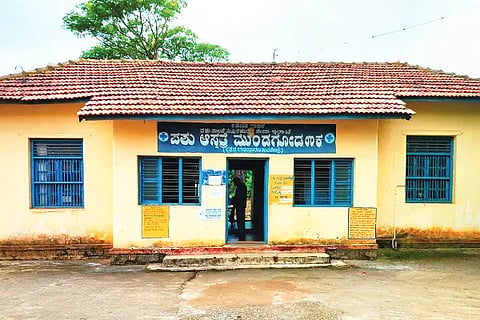 27-PASHU HOSPITAL