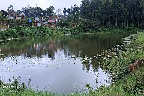 29MDK04