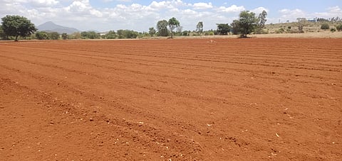 30 HANUR 1 A