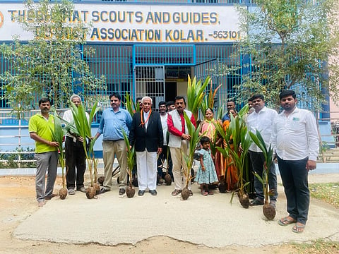 1lakh coconut plantetion