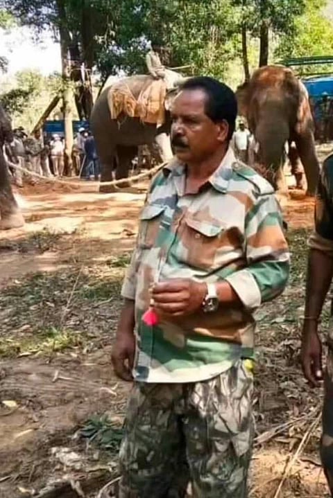 ಚಿಕಿತ್ಸೆ ನೀಡುವ ವೇಳೆ ಆನೆ ದಾಳಿಗೆ ಸಿಬ್ಬಂದಿ ಸಾವು
