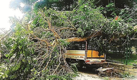 AUG. 13, HNP., PH.1.