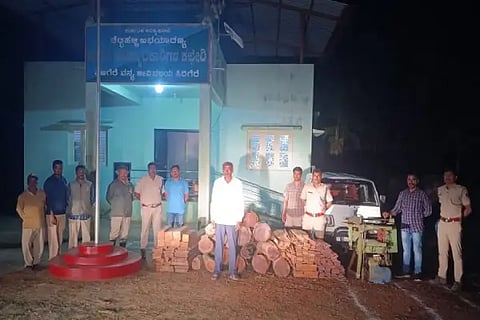 Accused of cutting beet and sago tree arrested