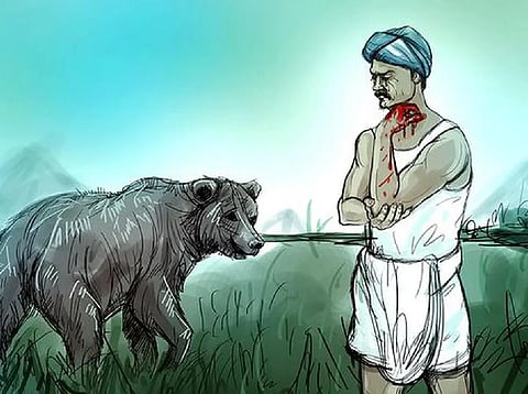 Bear Attack