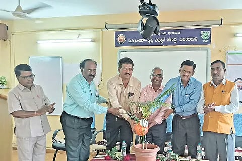 Deputy Director of Agriculture, Pest, Disease Control, Technical Conference, Farmer, Relief,