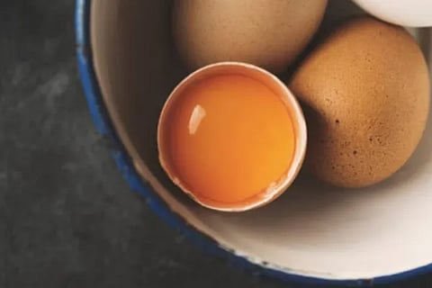 Egg Yolk