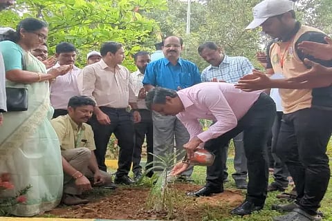 Environment Day in ATNCC