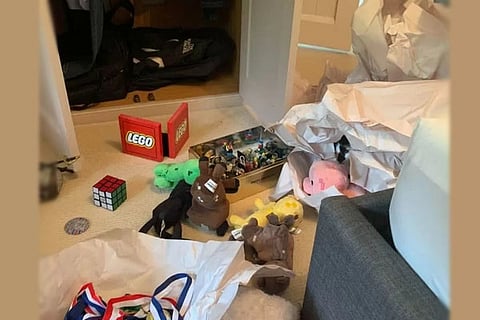Find the Cat